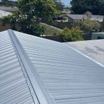Top-down view showing a house with a metal roof