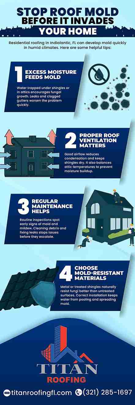 Stop Roof Mold Before it Invades Your Home